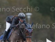 Del Signore Zingara TosTour 2013- S4 7057 : Arezzo Equestrian Centre, Del Signore Michol, Toscana Tour 2013, Zingara, foto di Stefano Secchi ©